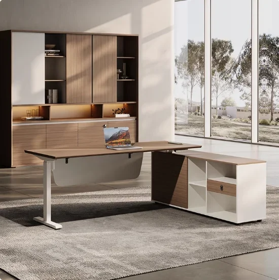 Modern Simple Office CEO Boss  - Office Furniture Logo review and price