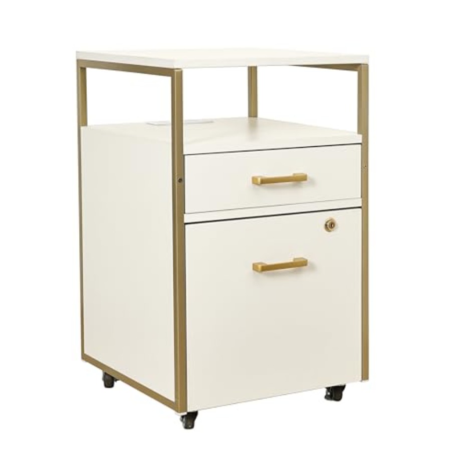 Modern 2-Drawer Rolling File C - Office Furniture Outlet review and price