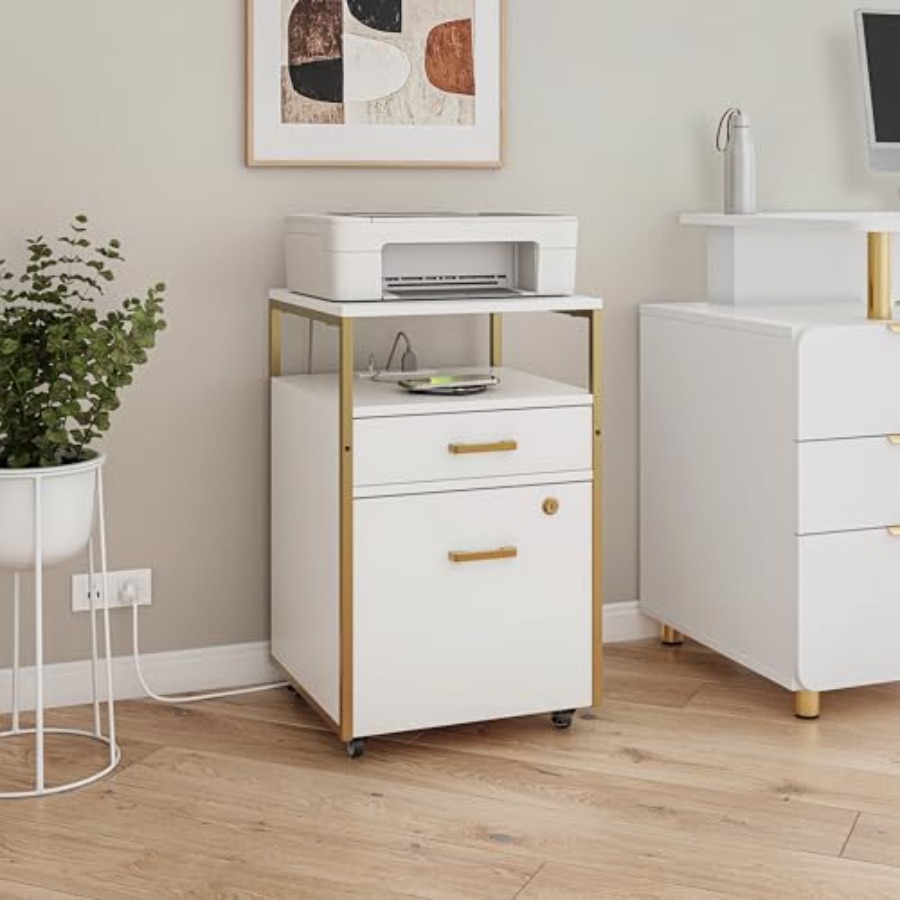 Modern 2-Drawer Rolling File C - Office Furniture Outlet review and price